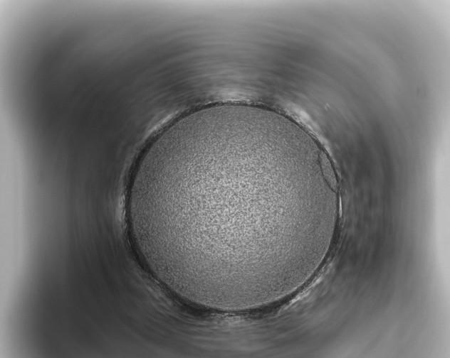 X0000096430249200801311438