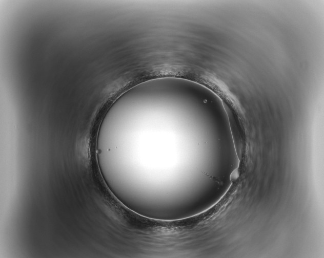 X0000096430250200801311438