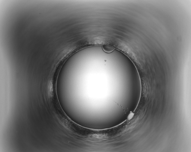 X0000096430251200801311438