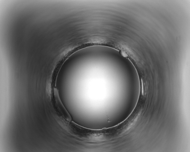 X0000096430252200801311438
