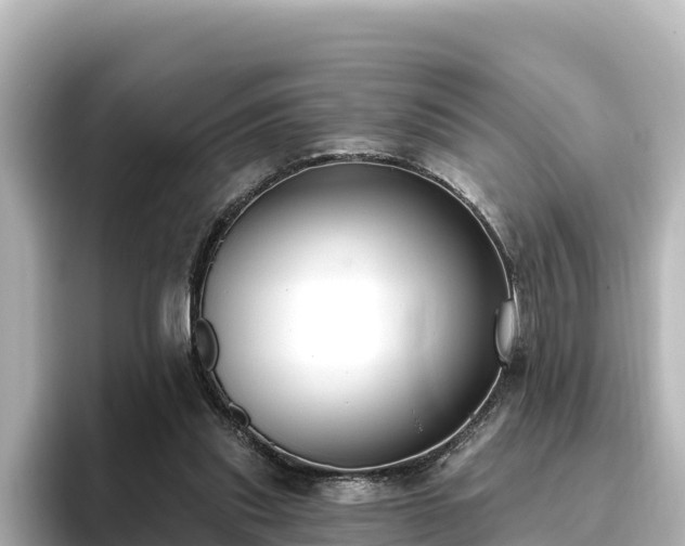 X0000096430253200801311438