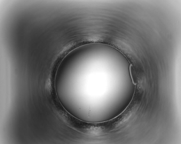 X0000096430256200801311438
