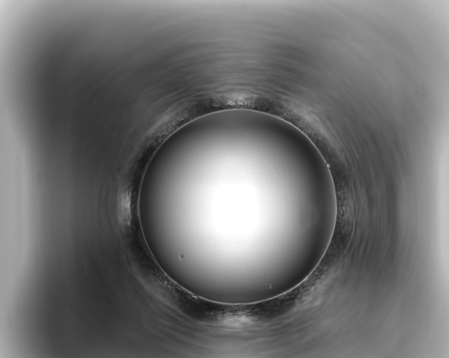 X0000096430262200801311438