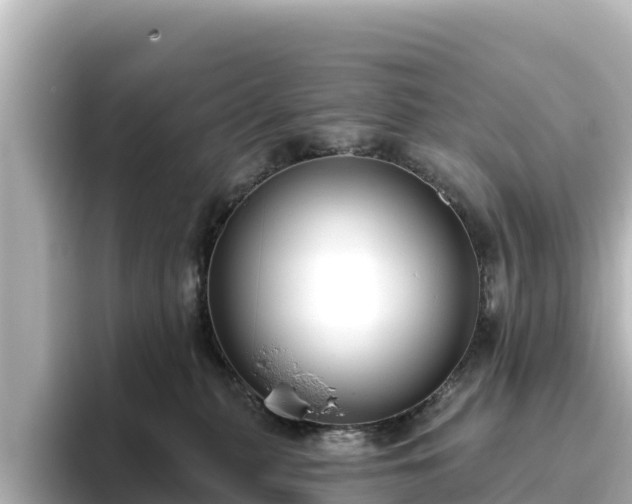 X0000096430279200801311438