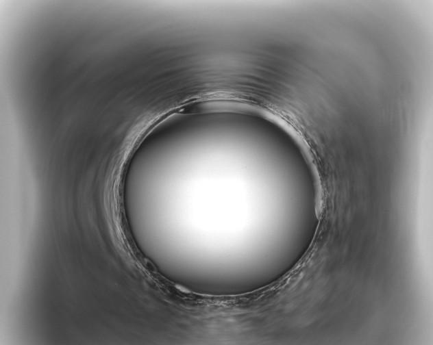 X0000096430289200801311438