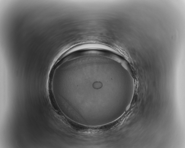 X0000096430292200801311438