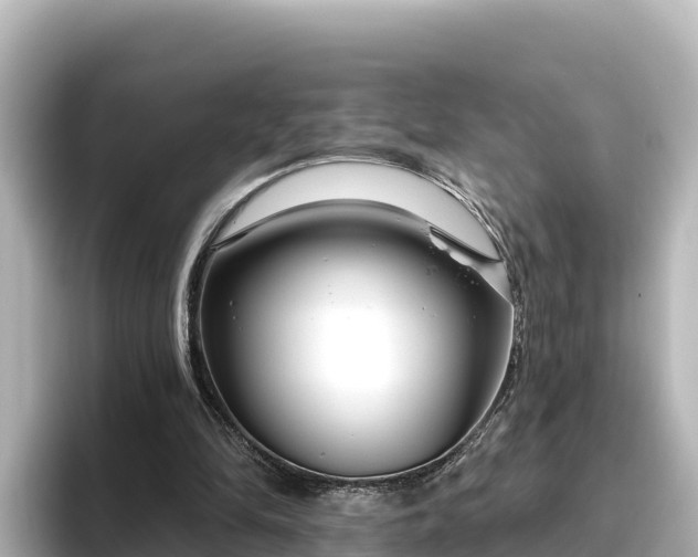 X0000096430294200801311438