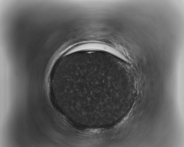 X0000096430295200801311438