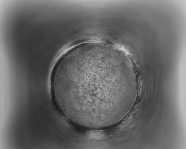 X0000096430296200801311438