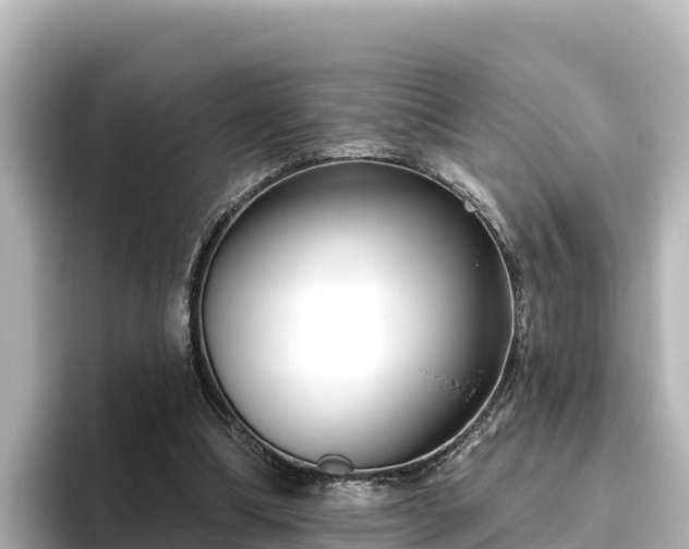 X0000096430298200801311438