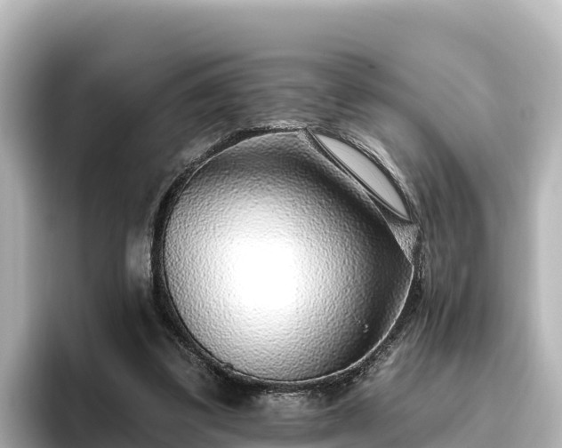 X0000096430299200801311438