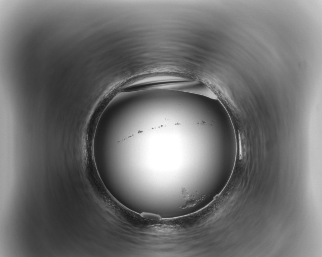 X0000096430300200801311438