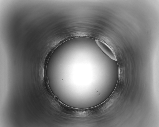 X0000096430301200801311438