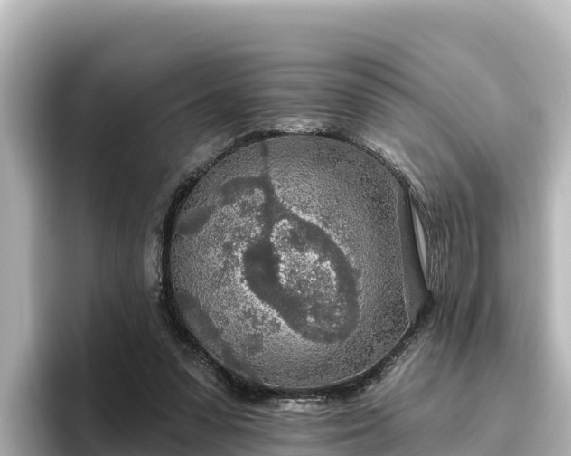 X0000096430303200801311438