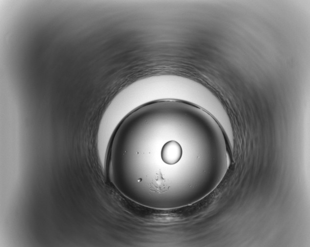 X0000096430316200801311437