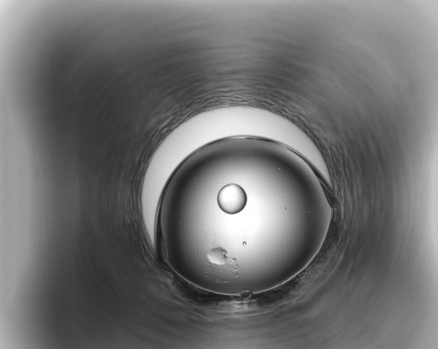 X0000096430320200801311437
