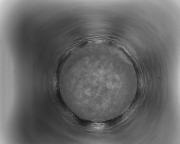 X0000096430328200801311437