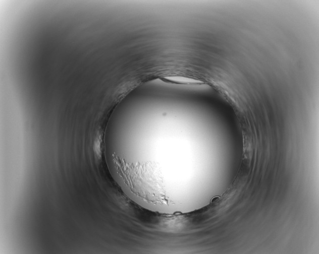 X0000096430334200801311437