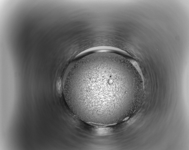 X0000096430336200801311437