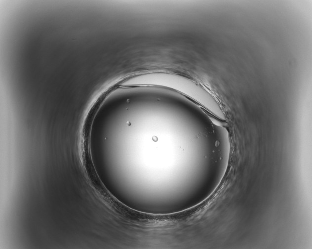 X0000096430342200801311437
