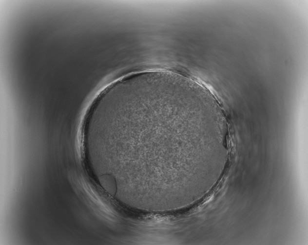 X0000096430343200801311437