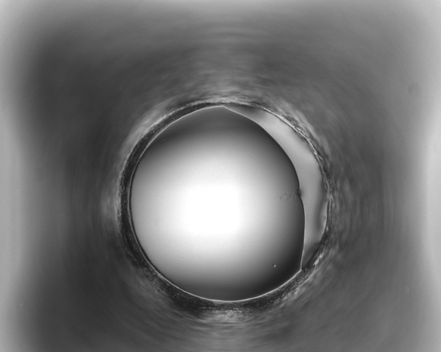 X0000096430344200801311437