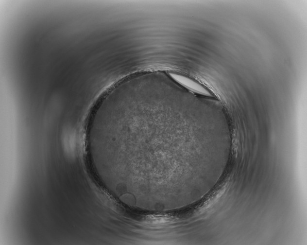 X0000096430351200801311437