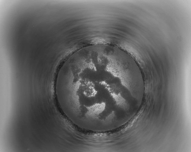 X0000096430353200801311437