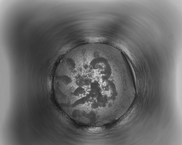 X0000096430357200801311437