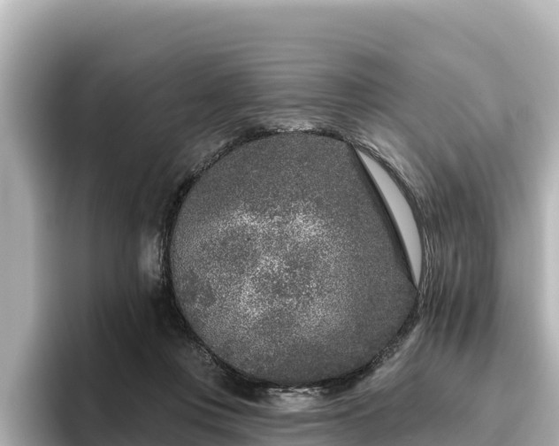 X0000096430359200801311437