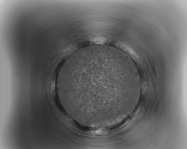 X0000096430365200801311437