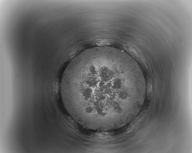 X0000096430367200801311437
