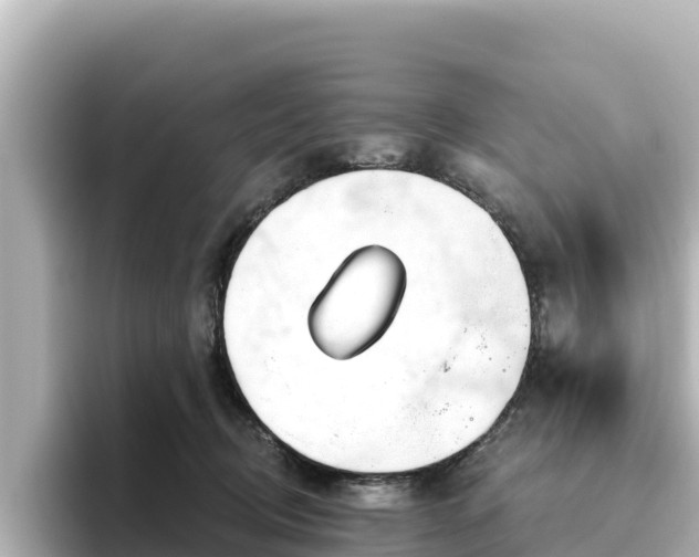 X0000096430370200801311437