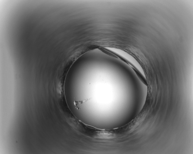 X0000096430380200801311437
