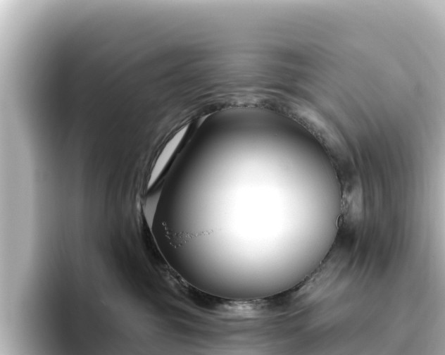 X0000096430381200801311437