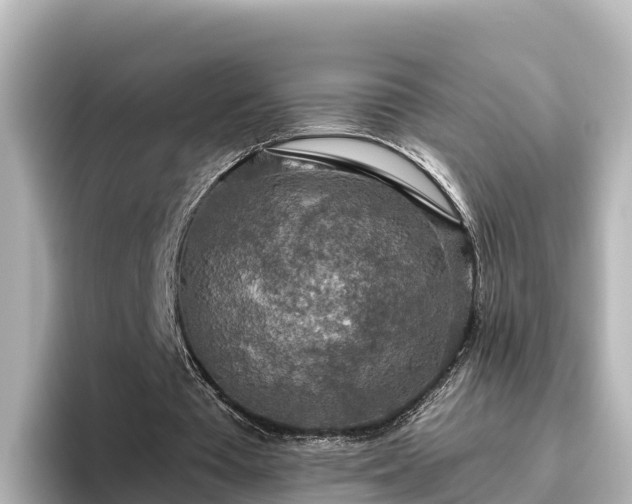 X0000096430385200801311437