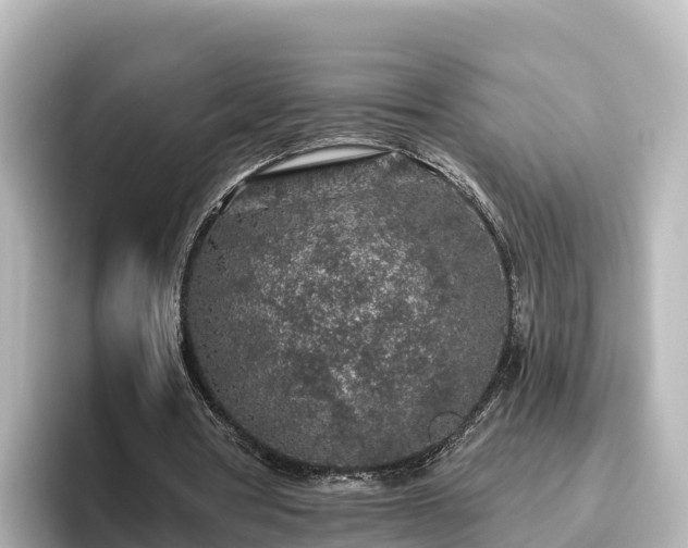 X0000096430386200801311437