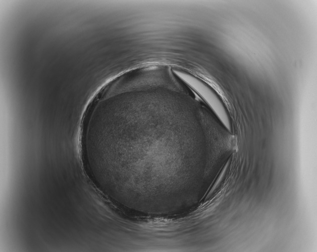 X0000096430387200801311437