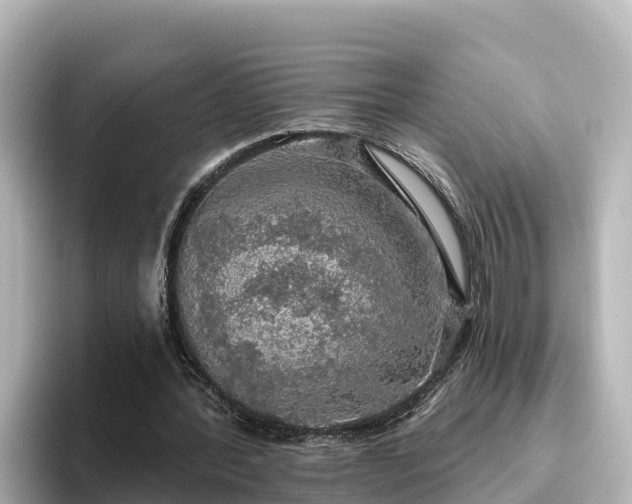 X0000096430388200801311436