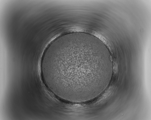 X0000096430390200801311436