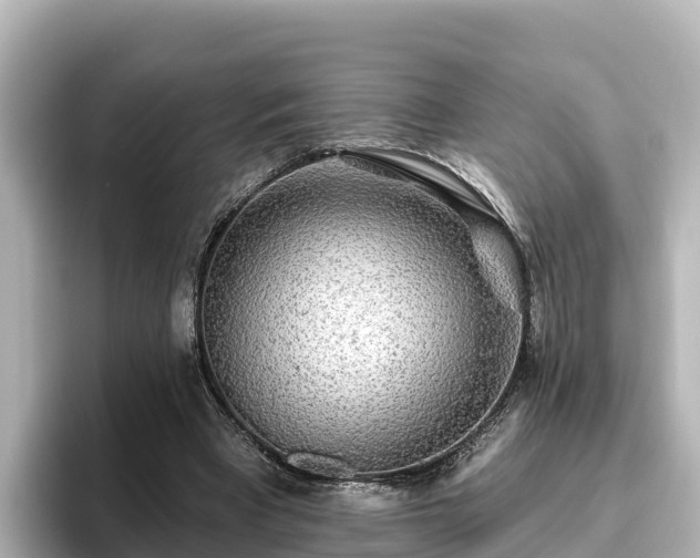 X0000096430393200801311436