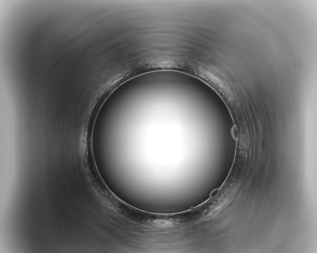 X0000096430394200801311436
