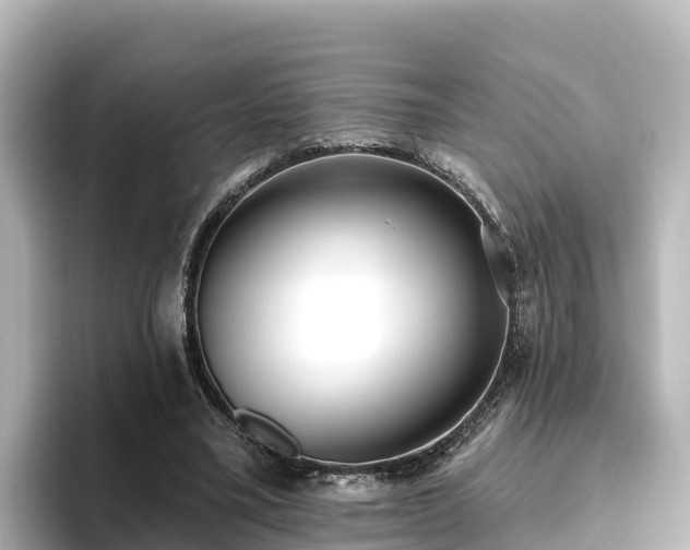X0000096430395200801311436