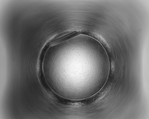 X0000096430396200801311436