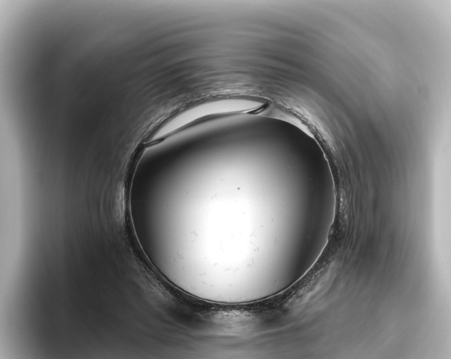 X0000096430397200801311436
