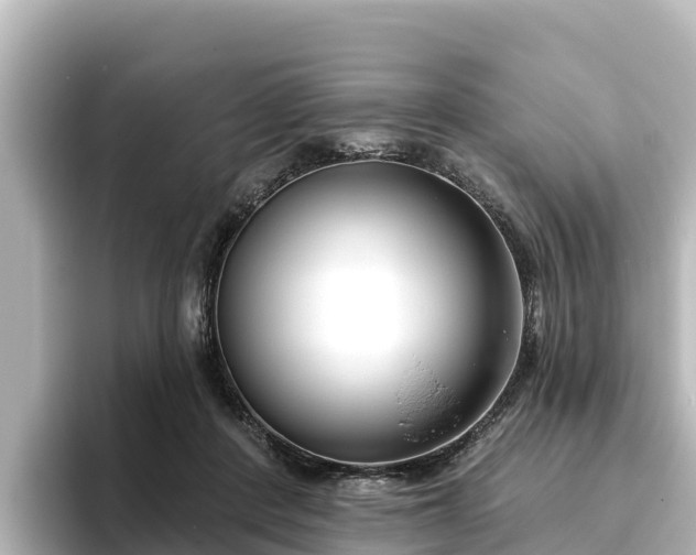 X0000096430408200801311436