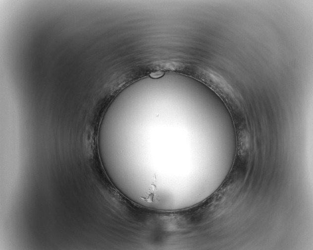 X0000096430414200801311436