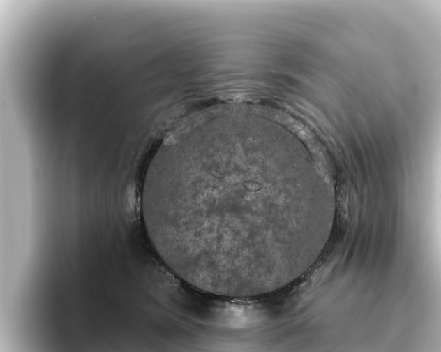 X0000096430420200801311436