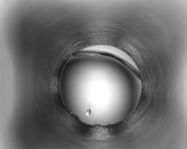 X0000096430421200801311436