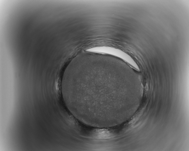 X0000096430424200801311436